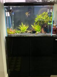 3ft full optiwhite fish tank ND aquatics gloss black £400