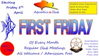 Aquatics + Club