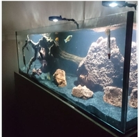 Custom fish tank kessil jecod tropical