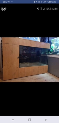 Custom made aquarium £400