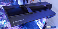 Giesemann Vervve Plus LED
