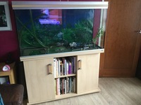 RENA 4 foot fish tank and stand for sale including EHEIM professional 3 filter.