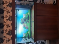 350 litre aquarium and cabinet