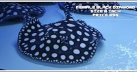 Top Stingrays UK