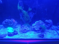 Tank breakdown sale - still a few items left