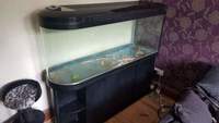 5ft black bullet fish tank and stand 390l £250