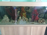 4FT- 3D Background sinks NO Silicone Required fits juwel rio 240 perfect.also Ocean Free Hydra 50 Internal Filter and Depurator And Fluval U2 Filter
