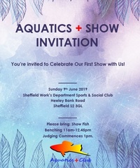 Aquatics Plus Summer Show
