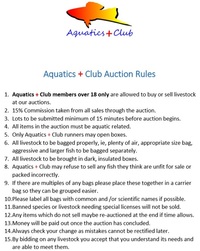 Aquatics Plus Summer Show