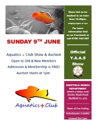 Aquatics Plus Summer Show