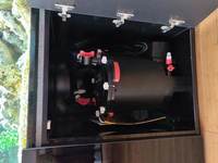 Large Aquarium 7 Foot, £1200 including fish