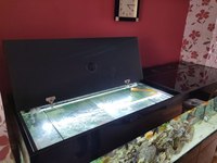 Large Aquarium 7 Foot, £1200 including fish