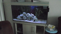 Rena tank for sale £150
