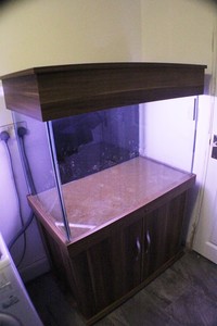 Large fish tank / aquarium