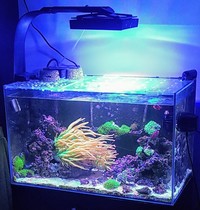 Complete Setups for sale