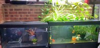 Complete Setups for sale
