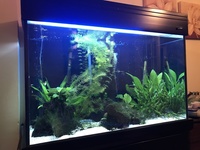 AQUA ONE TANK WITH STAND