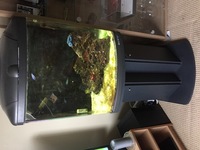 Boyu TL-550 Aquarium and Stand