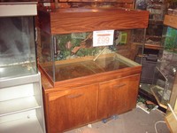 Large 10 mm glass Tanks for sale.