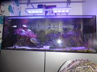 Complete Set-up for sale £1250 ovno