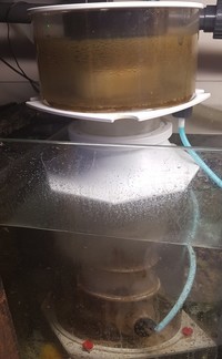 SC 2561 Internal Protein Skimmer with TC/SC self cleaning head