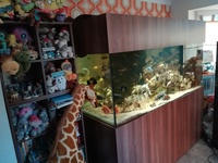 6ft ND AQUATICS Marine fish tank with sump tank full setup