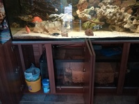 6ft ND AQUATICS Marine fish tank with sump tank full setup