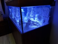 Glass aquarium