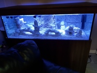 Glass aquarium