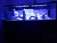 Glass aquarium