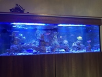 Glass aquarium