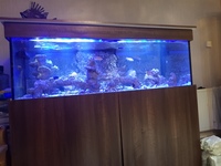 Glass aquarium
