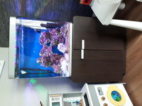 Fluval osaka 155 tank aquarium