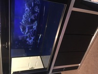 OUTSTANDING MARINE TANK