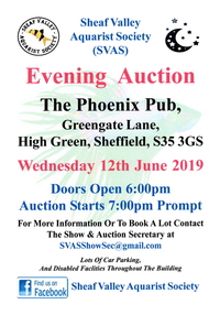 SVAS Night Auction ~ 12th June 2019