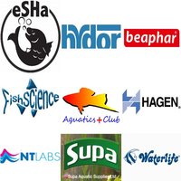 Aquatics Plus Summer Show