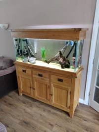 5ft Aqua Oak Aquarium for Sale REDUCED AGAIN FOR QUICK SALE