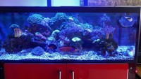 Complete Marine Setup for Sale
