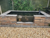Full Koi pond set-up