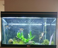 Aquamanta aquarium/fish tank with external filter and heater
