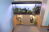 Fluva Roma 240 tank and cabinet for sale
