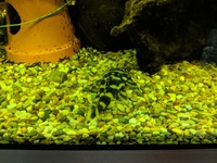 Breaking down my Tank