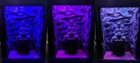 Fish Tank For Sale