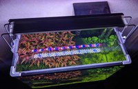 Fish Tank For Sale
