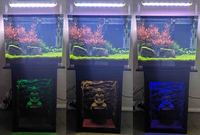 Fish Tank For Sale
