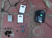 Going cheap: plants / air pumps (London)