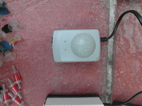 Going cheap: plants / air pumps (London)