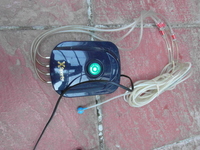 Going cheap: plants / air pumps (London)