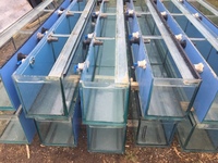 Shop Display tanks 8ft ideal for breeders fish house