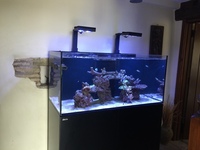 Red Sea Reefer XL 425. Complete set-up